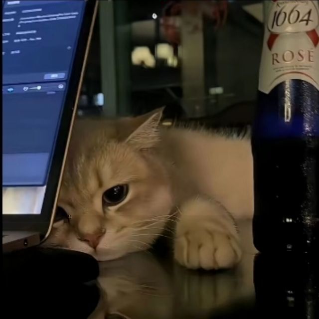 六月墨语